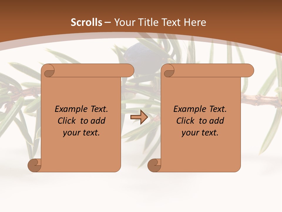 Shrub Nobody Berries PowerPoint Template