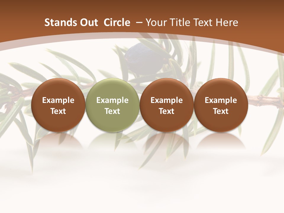Shrub Nobody Berries PowerPoint Template