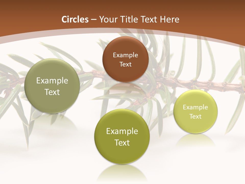 Shrub Nobody Berries PowerPoint Template