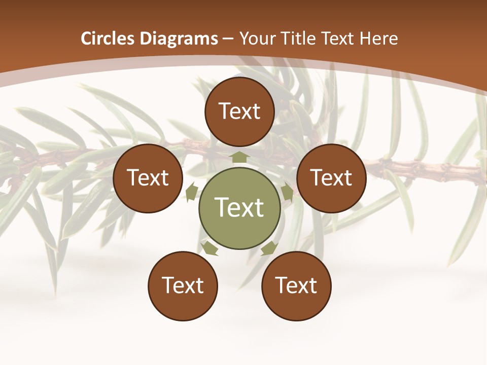 Shrub Nobody Berries PowerPoint Template