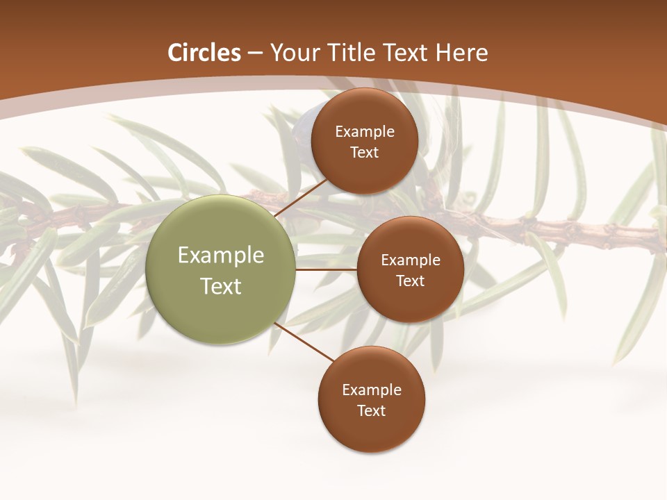 Shrub Nobody Berries PowerPoint Template