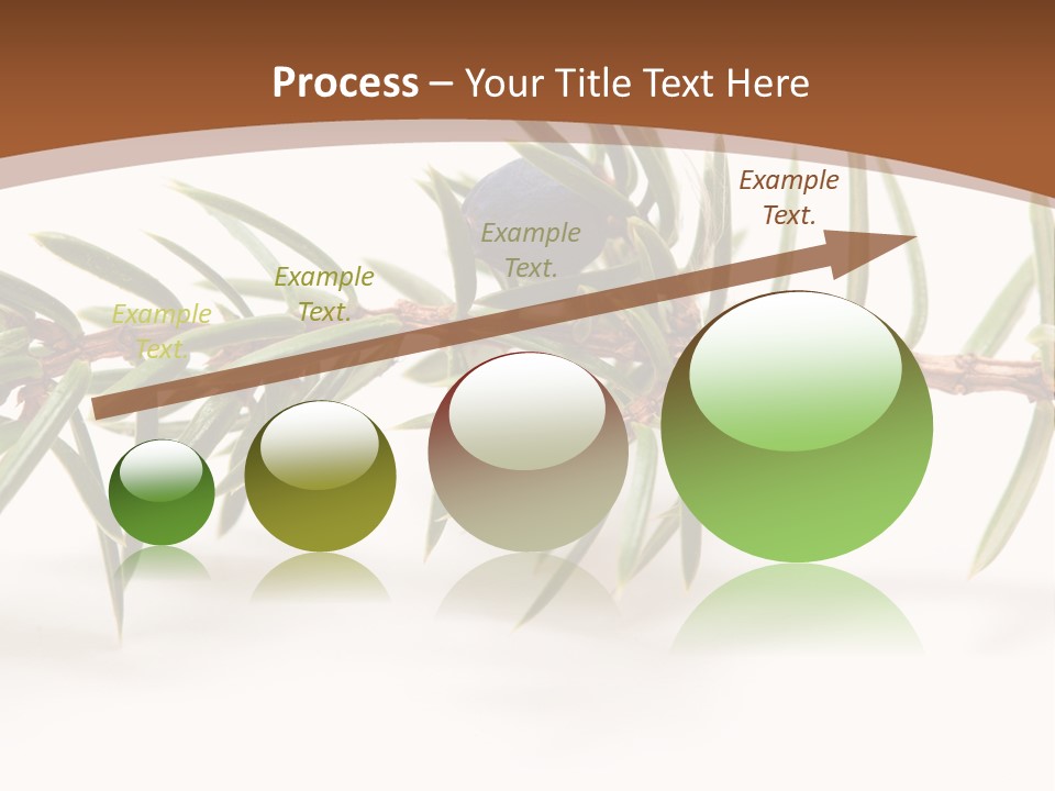 Shrub Nobody Berries PowerPoint Template