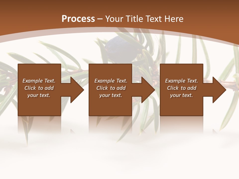 Shrub Nobody Berries PowerPoint Template