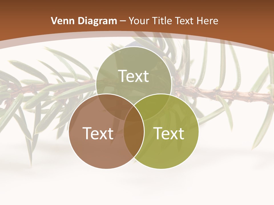 Shrub Nobody Berries PowerPoint Template