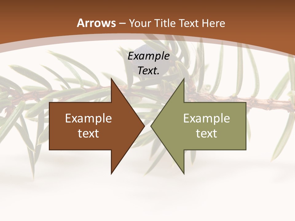 Shrub Nobody Berries PowerPoint Template