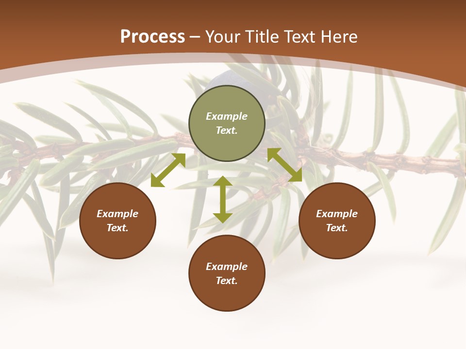 Shrub Nobody Berries PowerPoint Template