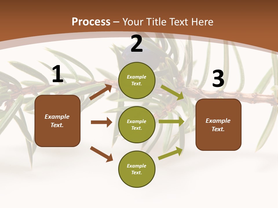 Shrub Nobody Berries PowerPoint Template