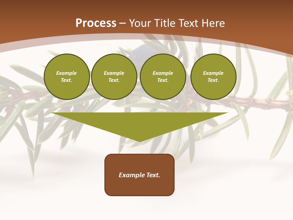 Shrub Nobody Berries PowerPoint Template