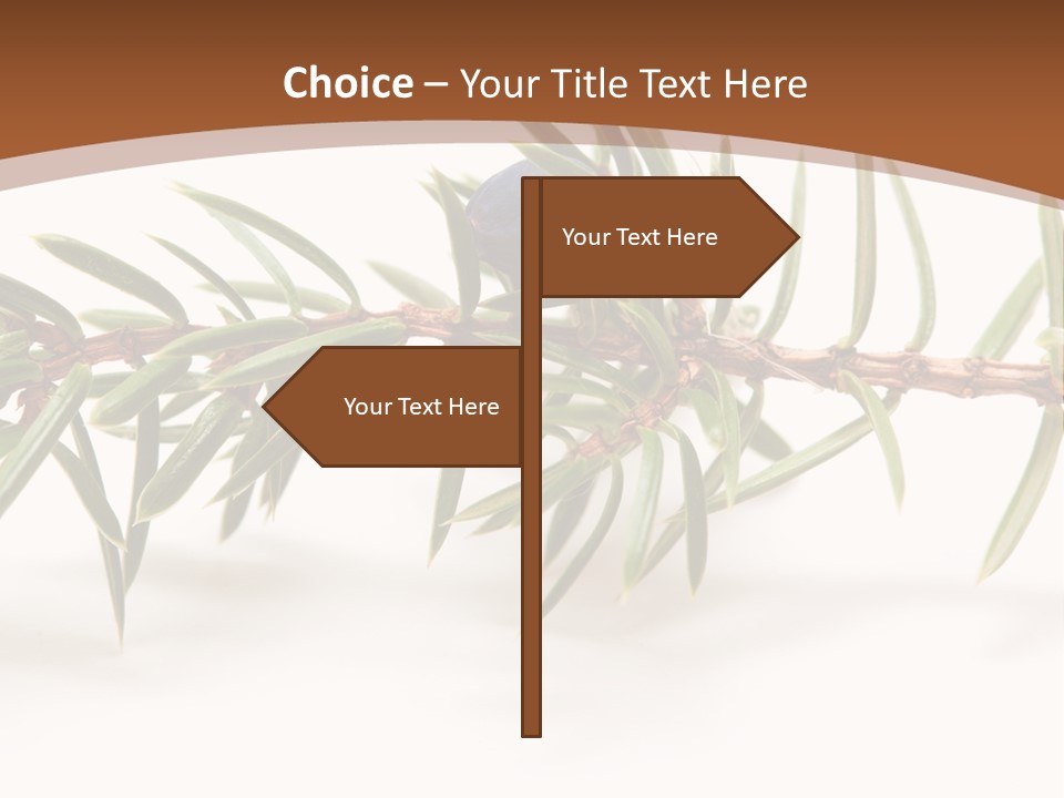 Shrub Nobody Berries PowerPoint Template