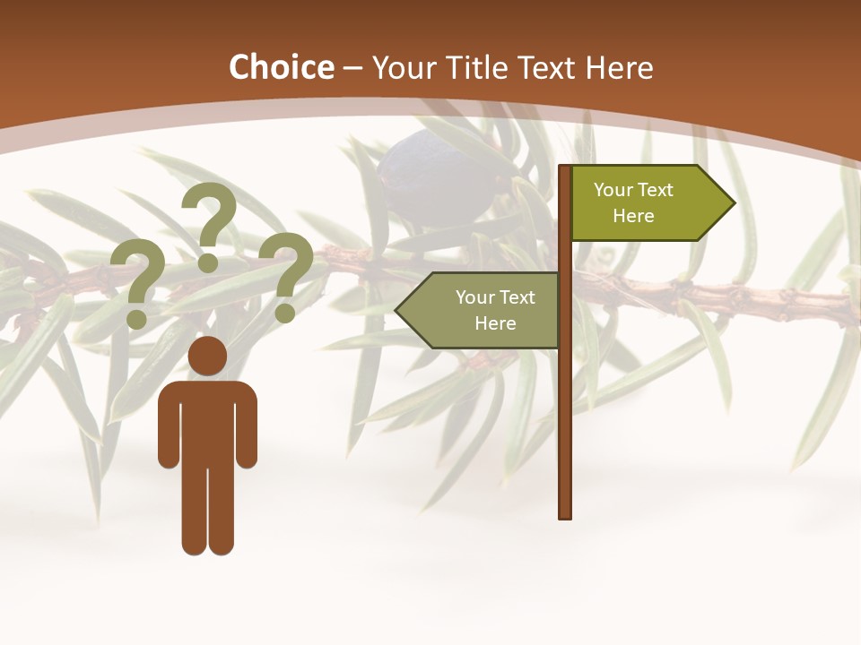 Shrub Nobody Berries PowerPoint Template