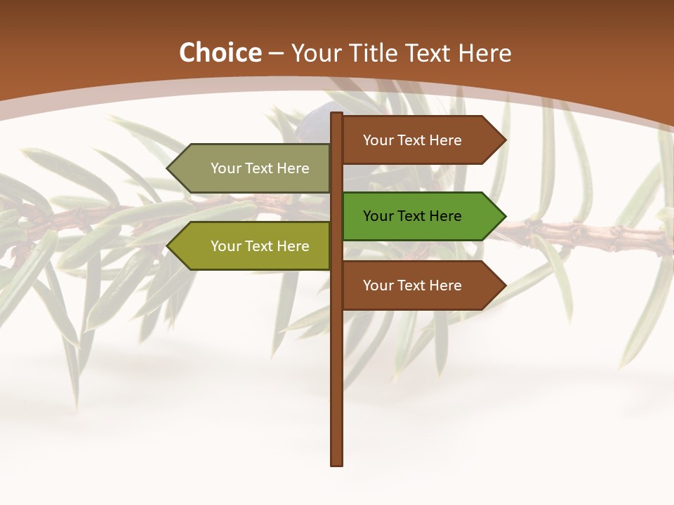 Shrub Nobody Berries PowerPoint Template
