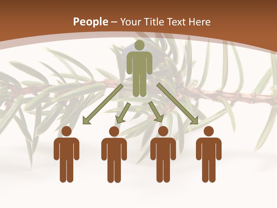 Shrub Nobody Berries PowerPoint Template