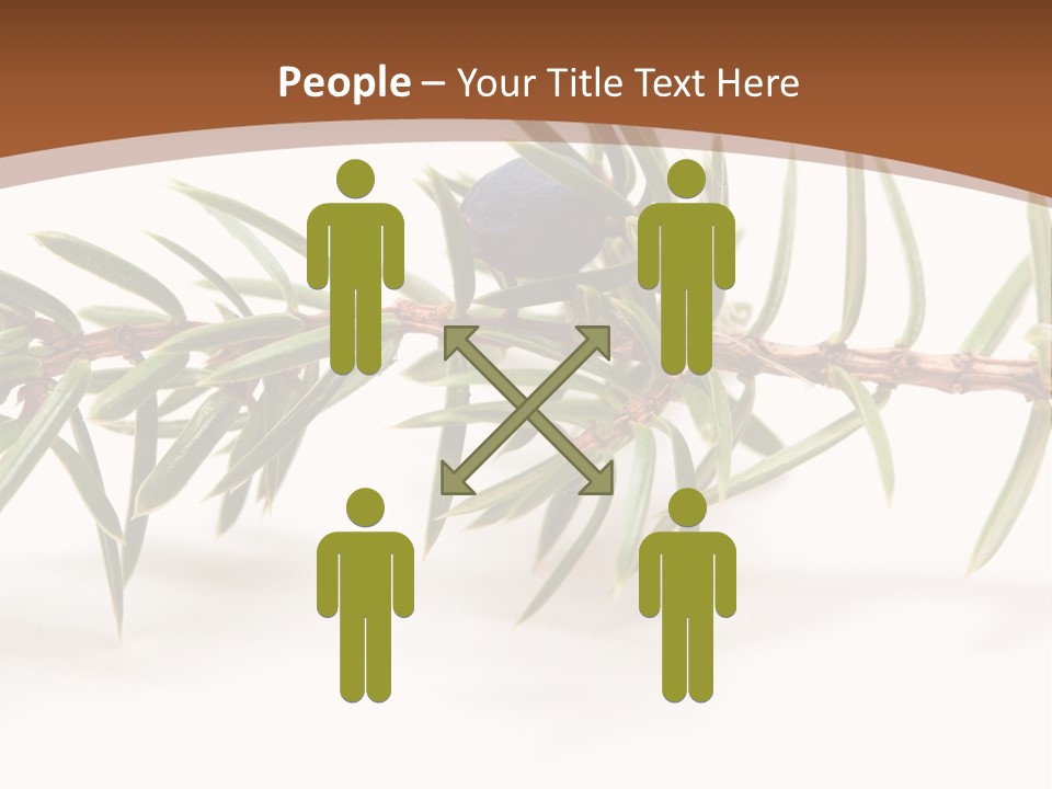 Shrub Nobody Berries PowerPoint Template