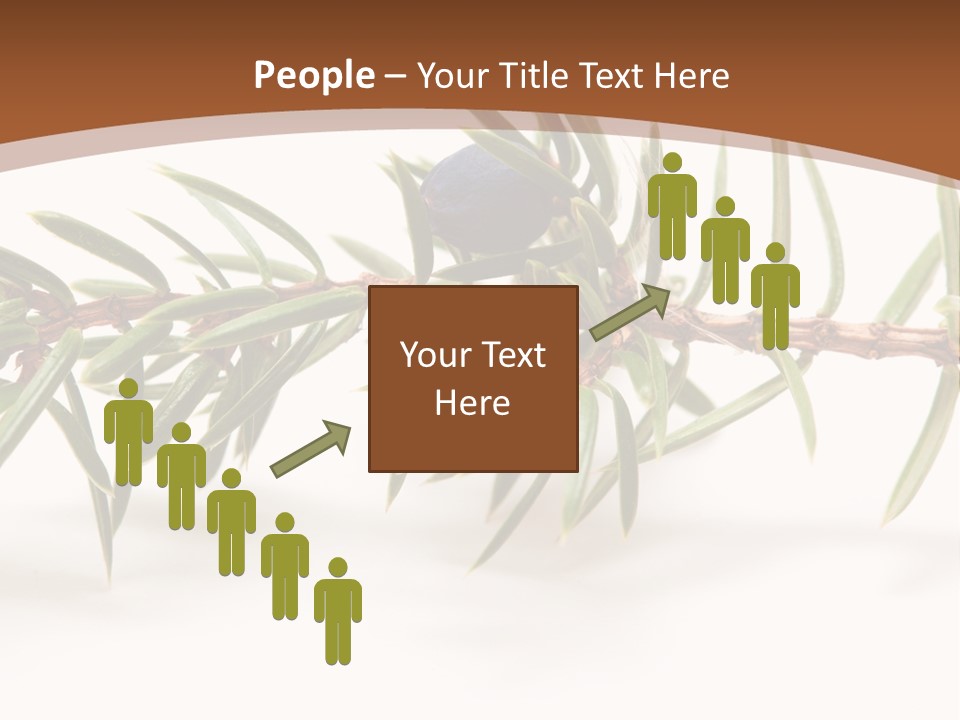 Shrub Nobody Berries PowerPoint Template