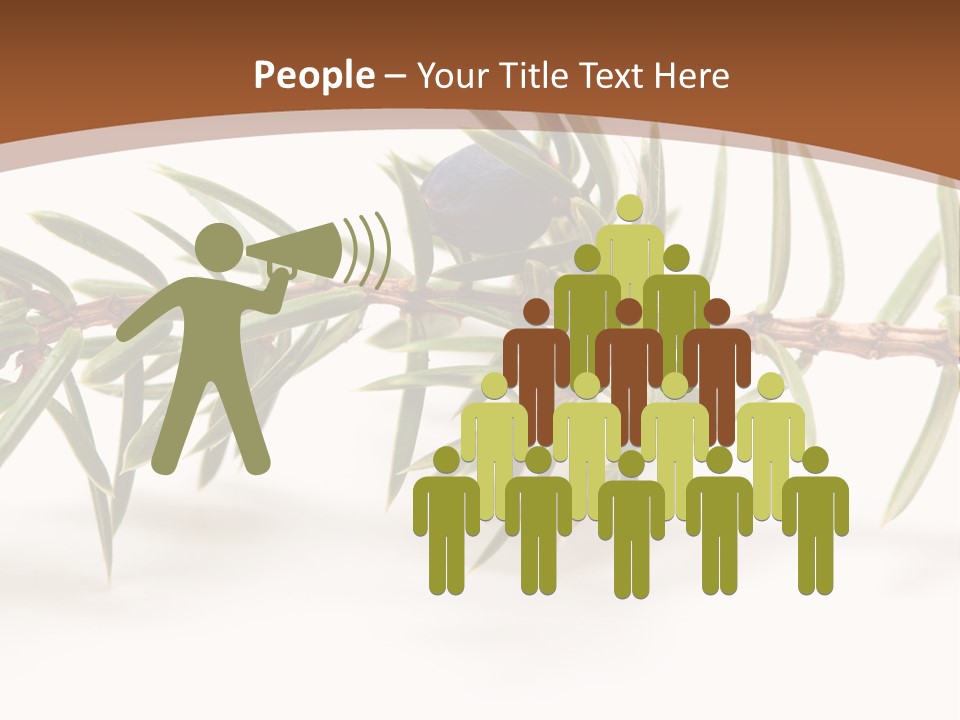 Shrub Nobody Berries PowerPoint Template