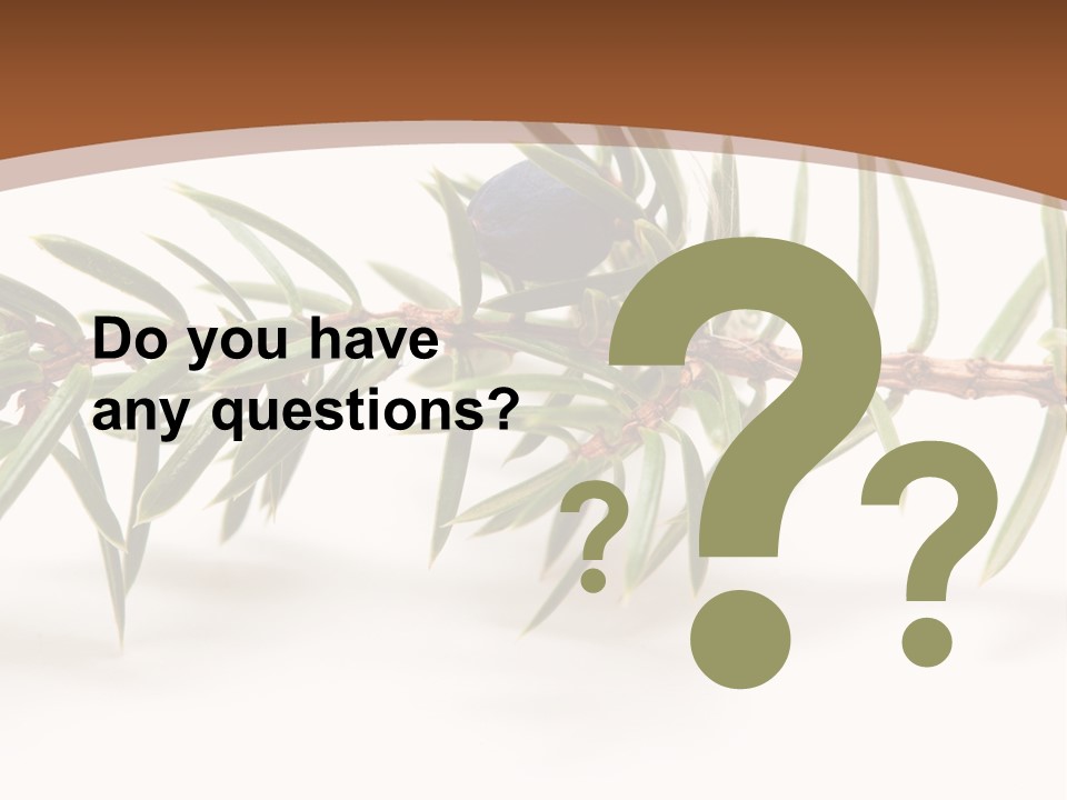 Shrub Nobody Berries PowerPoint Template