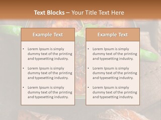 Cobblestone Bread Image PowerPoint Template