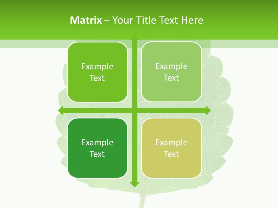 Closeup Leaf Melisa PowerPoint Template