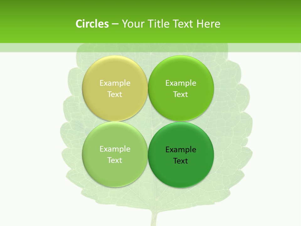 Closeup Leaf Melisa PowerPoint Template