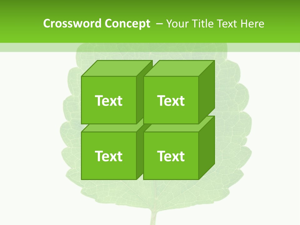 Closeup Leaf Melisa PowerPoint Template