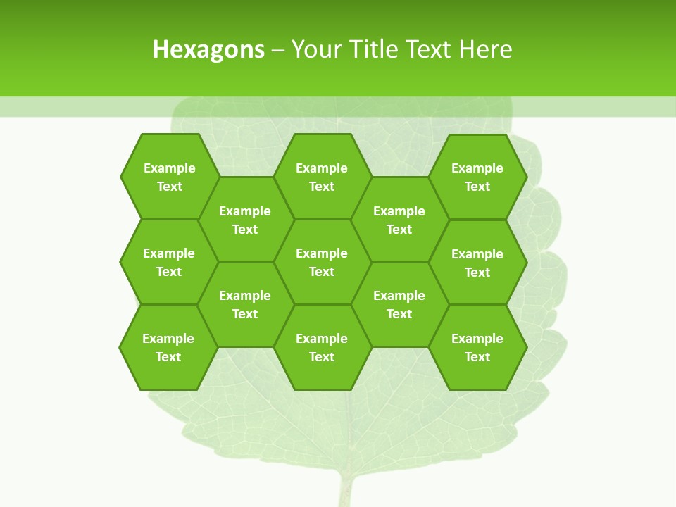 Closeup Leaf Melisa PowerPoint Template