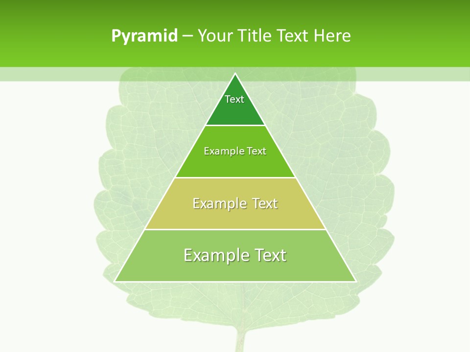 Closeup Leaf Melisa PowerPoint Template