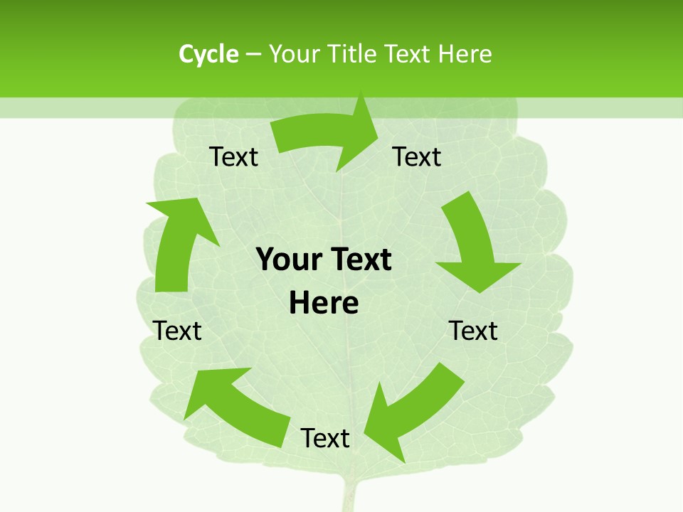 Closeup Leaf Melisa PowerPoint Template