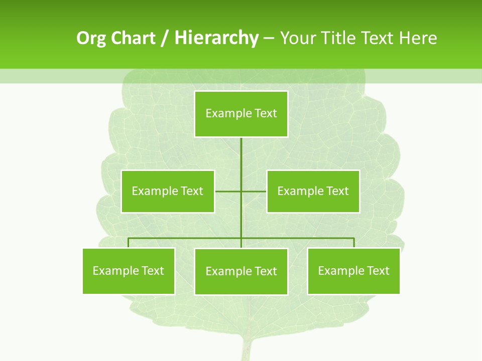 Closeup Leaf Melisa PowerPoint Template