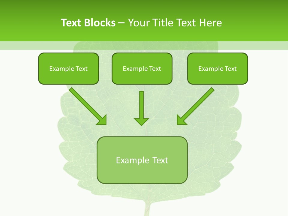 Closeup Leaf Melisa PowerPoint Template
