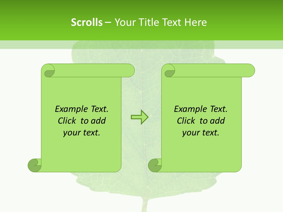Closeup Leaf Melisa PowerPoint Template
