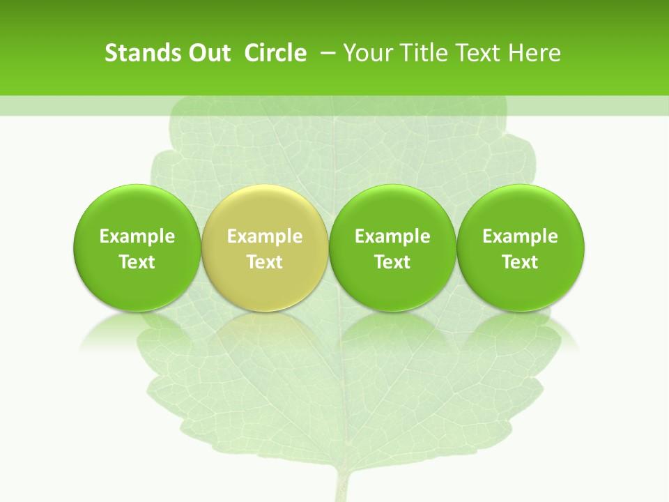 Closeup Leaf Melisa PowerPoint Template