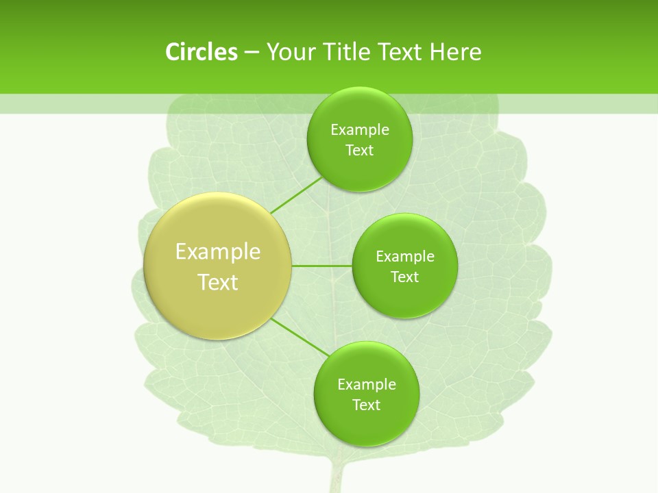 Closeup Leaf Melisa PowerPoint Template