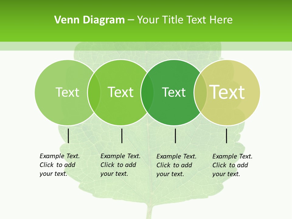 Closeup Leaf Melisa PowerPoint Template