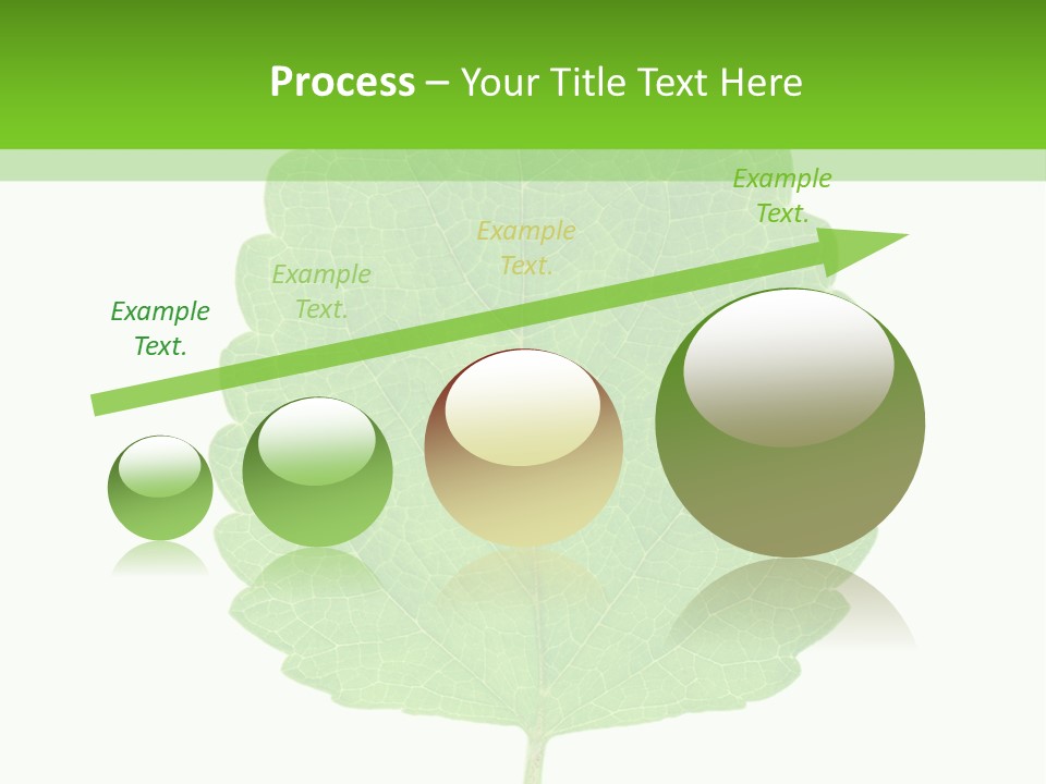 Closeup Leaf Melisa PowerPoint Template