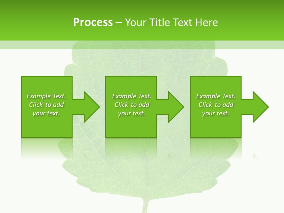 Closeup Leaf Melisa PowerPoint Template