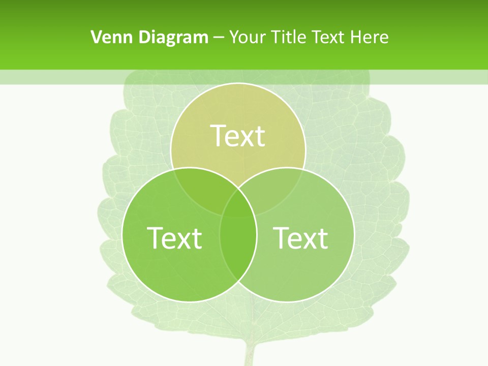 Closeup Leaf Melisa PowerPoint Template