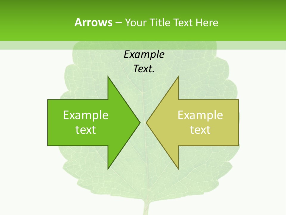 Closeup Leaf Melisa PowerPoint Template