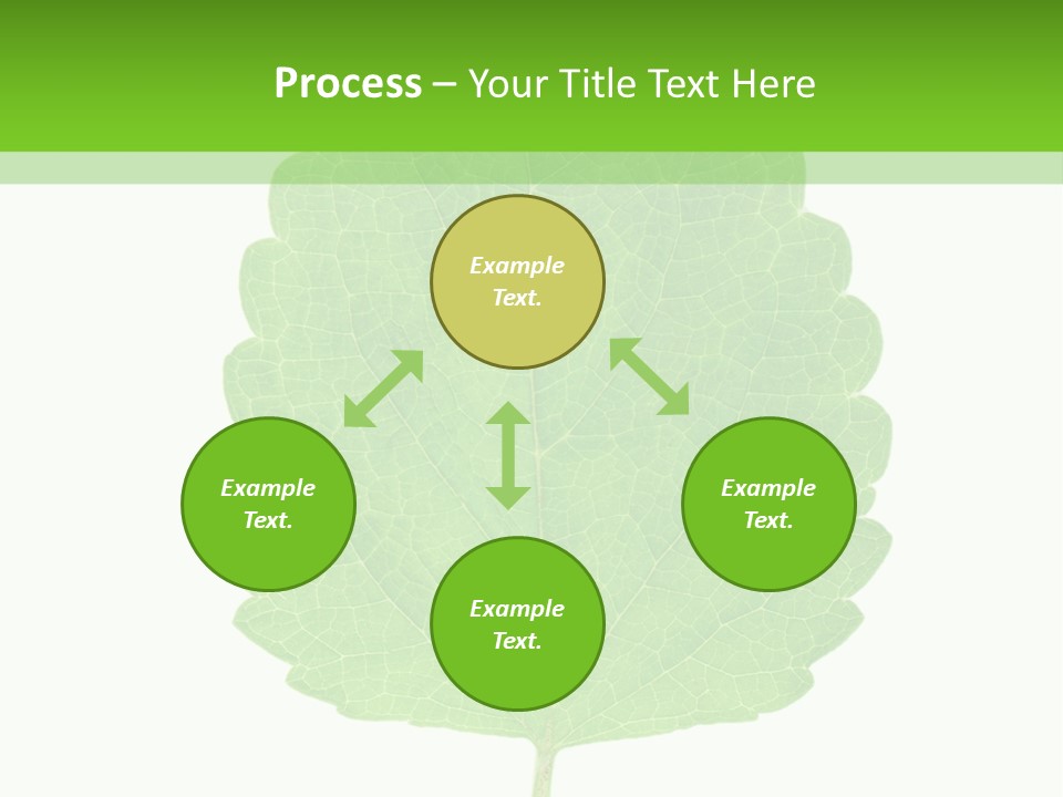 Closeup Leaf Melisa PowerPoint Template