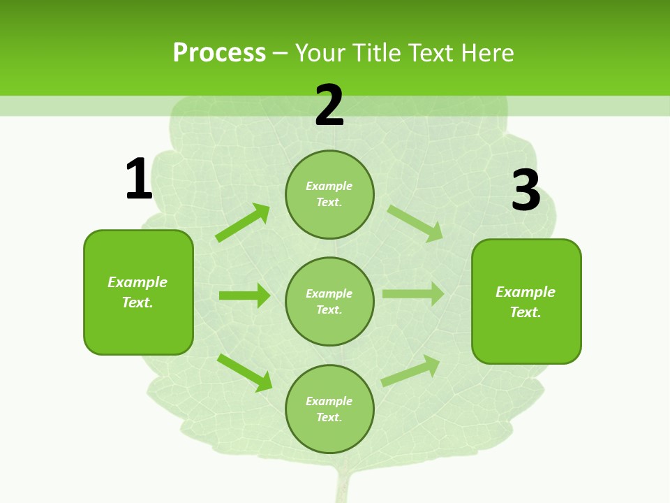 Closeup Leaf Melisa PowerPoint Template