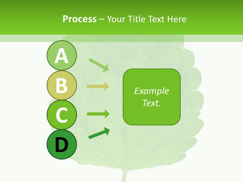 Closeup Leaf Melisa PowerPoint Template