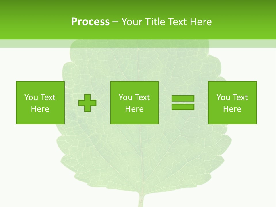 Closeup Leaf Melisa PowerPoint Template