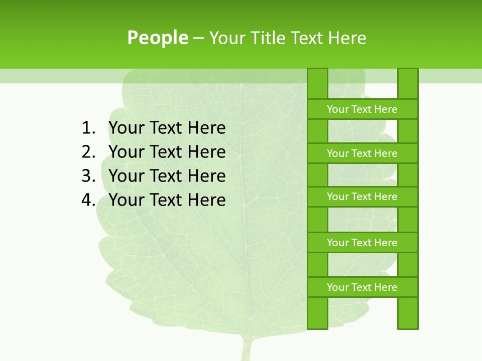 Closeup Leaf Melisa PowerPoint Template