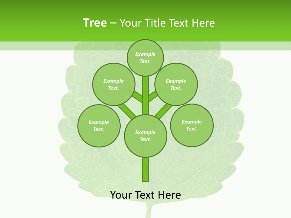 Closeup Leaf Melisa PowerPoint Template