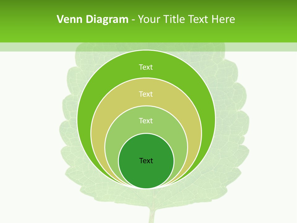 Closeup Leaf Melisa PowerPoint Template