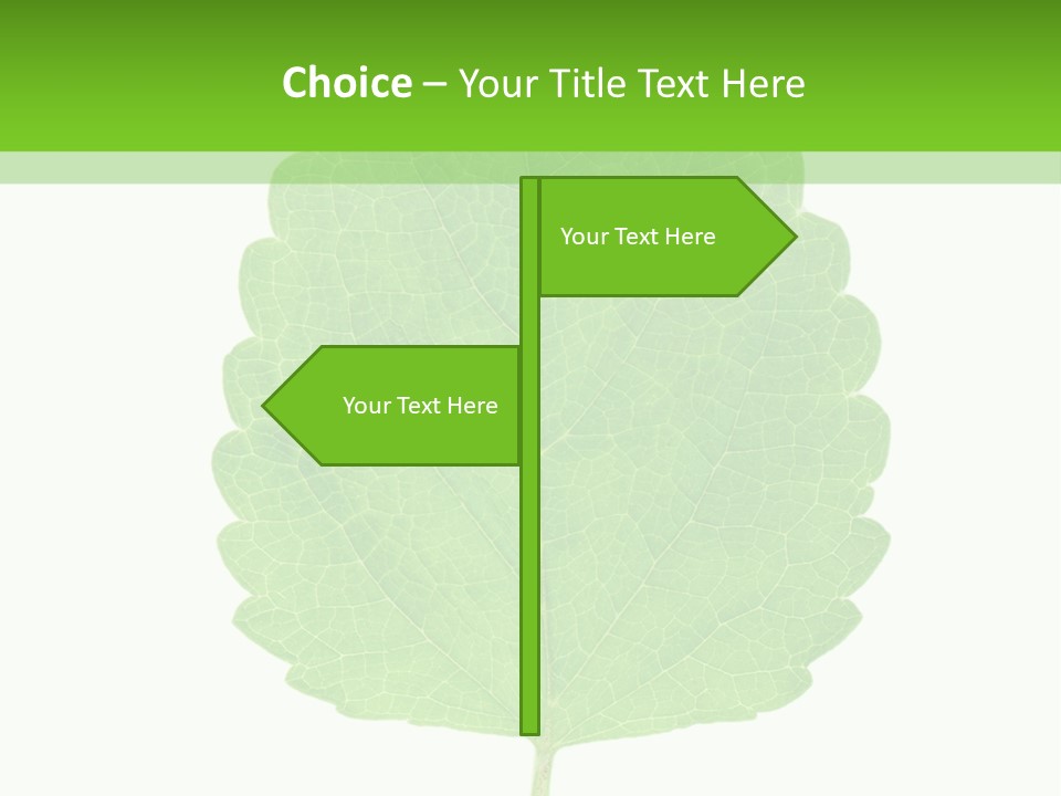 Closeup Leaf Melisa PowerPoint Template