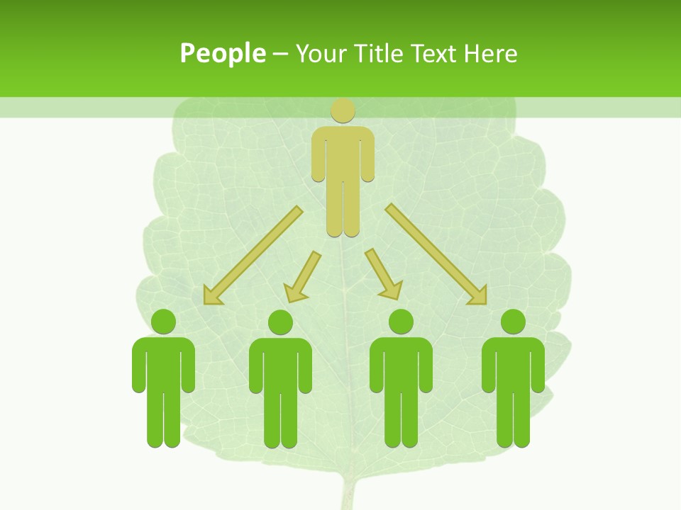 Closeup Leaf Melisa PowerPoint Template