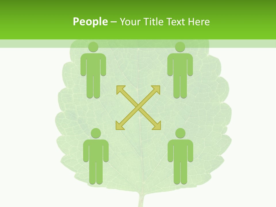 Closeup Leaf Melisa PowerPoint Template