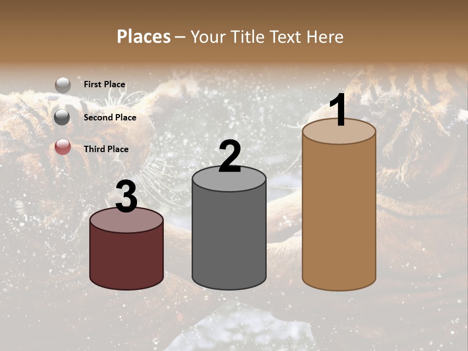 Action Wildlife Displeased PowerPoint Template