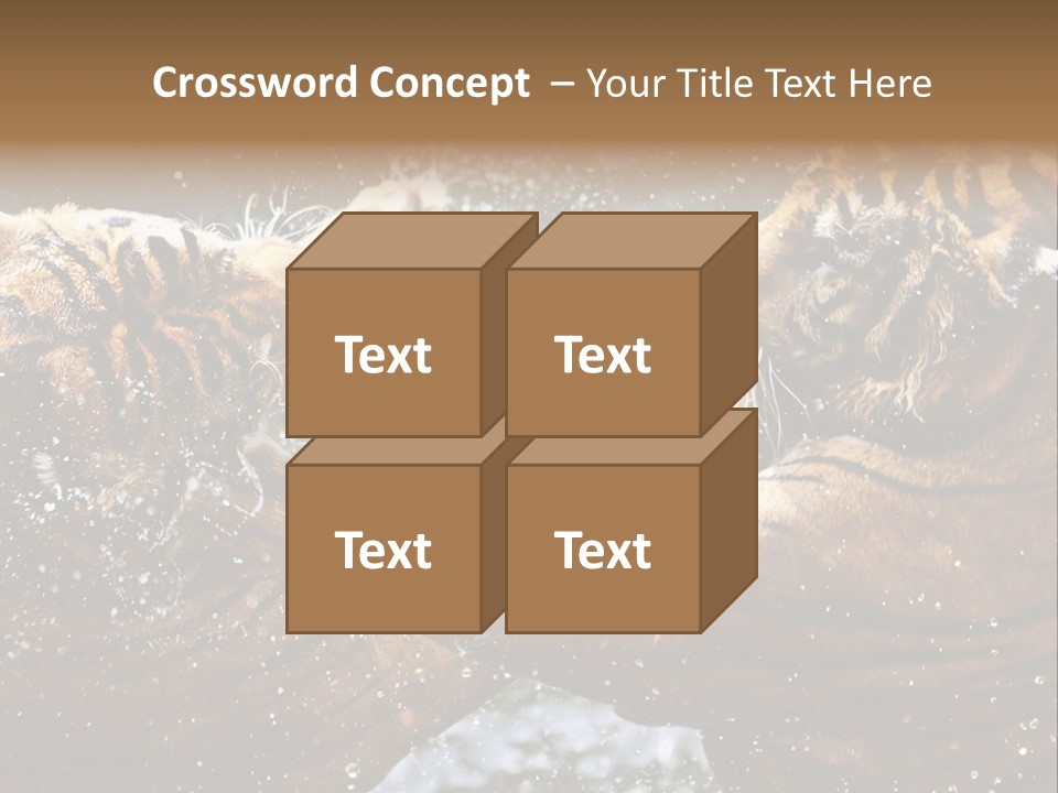 Action Wildlife Displeased PowerPoint Template