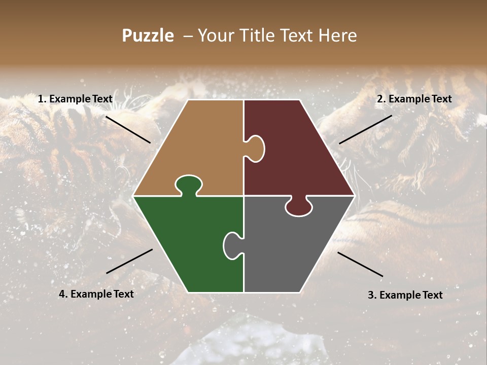Action Wildlife Displeased PowerPoint Template